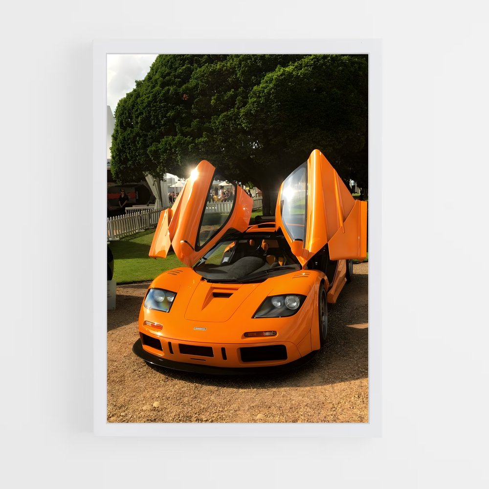 Poster McLaren en Fête (vue 3)